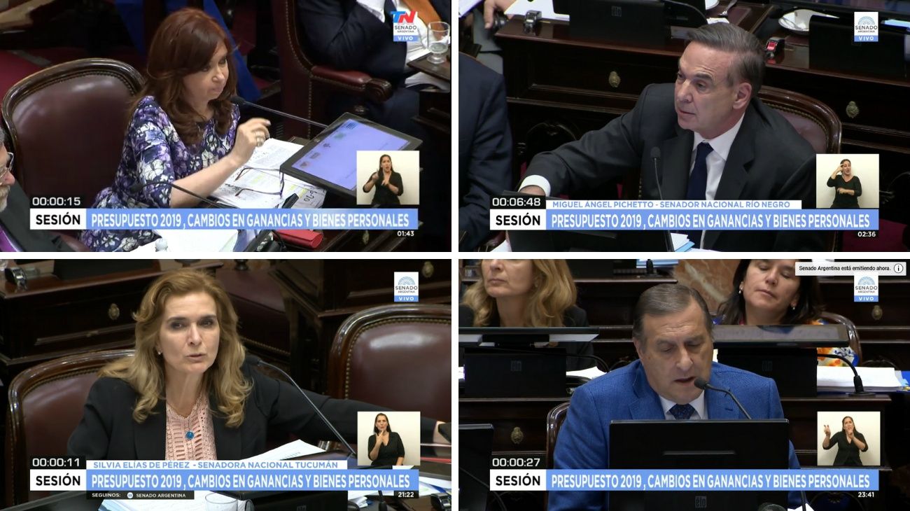 Qué dijeron los senadores en el debate final del Presupuesto 2019