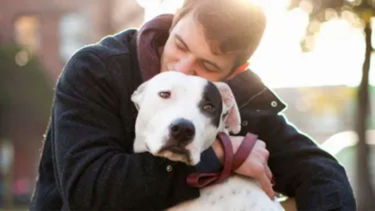 Por qué los especialistas desaconsejan abrazar a los perros: efectos, señales y alternativas