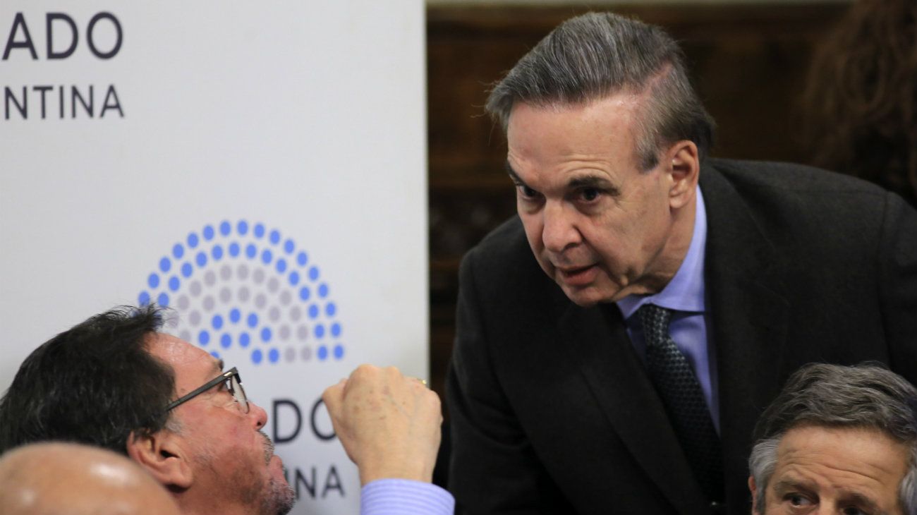 Pichetto confirmó que "habrá cambios" en el dictamen de aborto