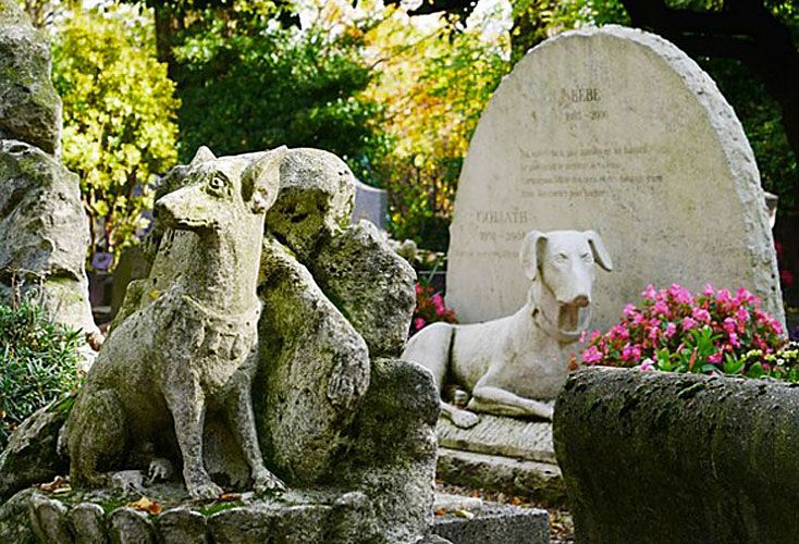 Proyectan hacer en la Ciudad un cementerio público para mascotas