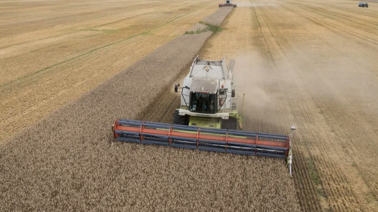 El peso del Estado sobre el campo: ¿Cuánto se lleva de cada hectárea?