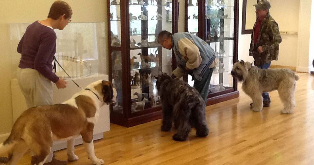 El museo del mejor amigo del hombre
