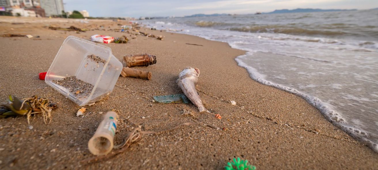 Casi el 80% de los residuos en playas bonaerenses son plásticos