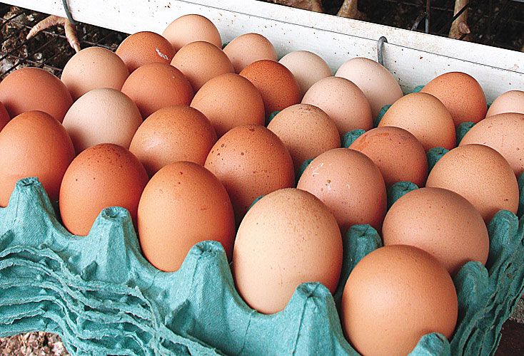 Faltan huevos para invertir
