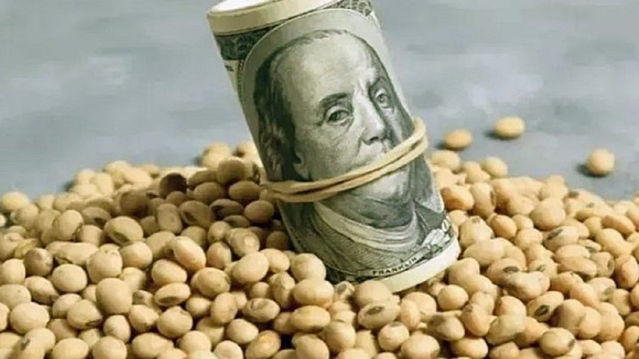 Dólar Agro: qué se espera del inminente anuncio del Gobierno