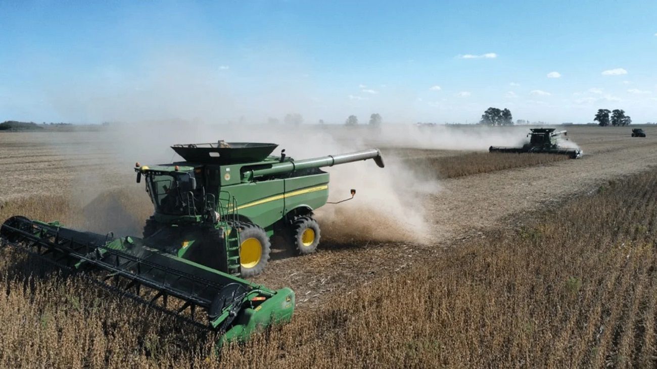 El Gobierno anunció la suba de las retenciones para soja y maíz: “Es una muy mala señal para el productor agropecuario”