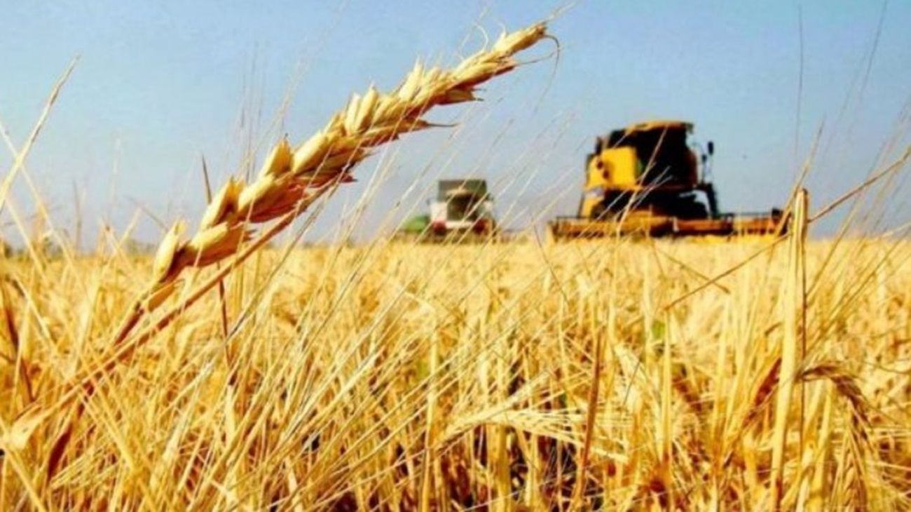 Campo: cuáles son los principales problemas que afronta el campo