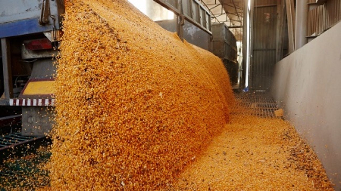 Desde el agro confirman que, “las ventas del dólar exportador no fueron tan significativas”