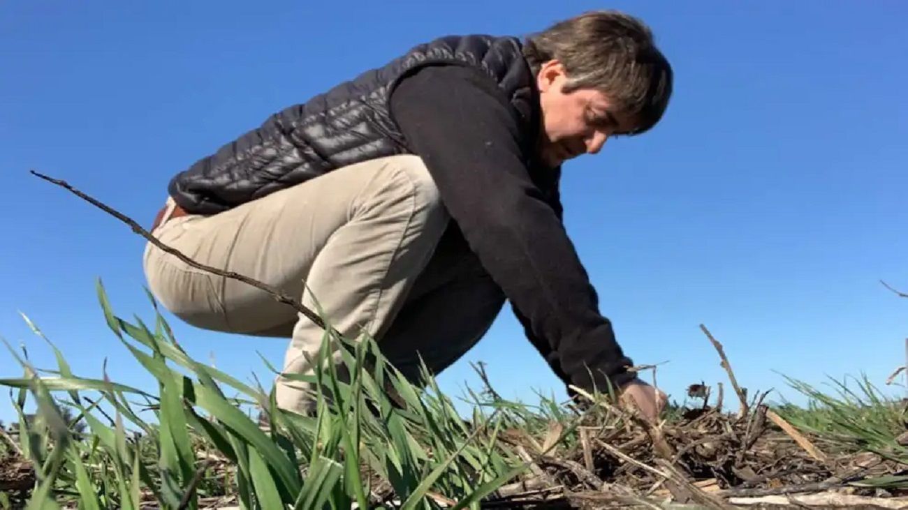 Agro: “Hay como un feeling de que no va a haber políticas adecuadas al sector sobre las retenciones”