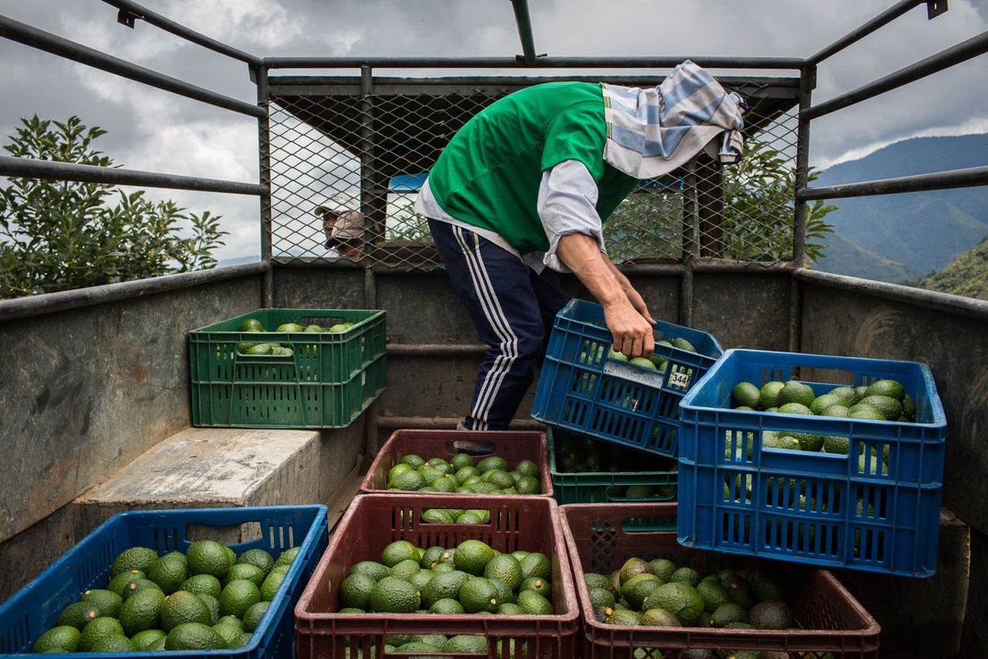 Colombia: impuestos a los alimentos para apoyar programas sociales