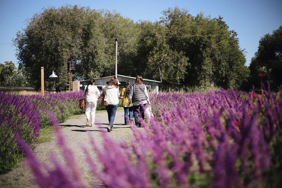 Escapadas de invierno: visitas a un cultivo de flores, talleres y meriendas al aire libre