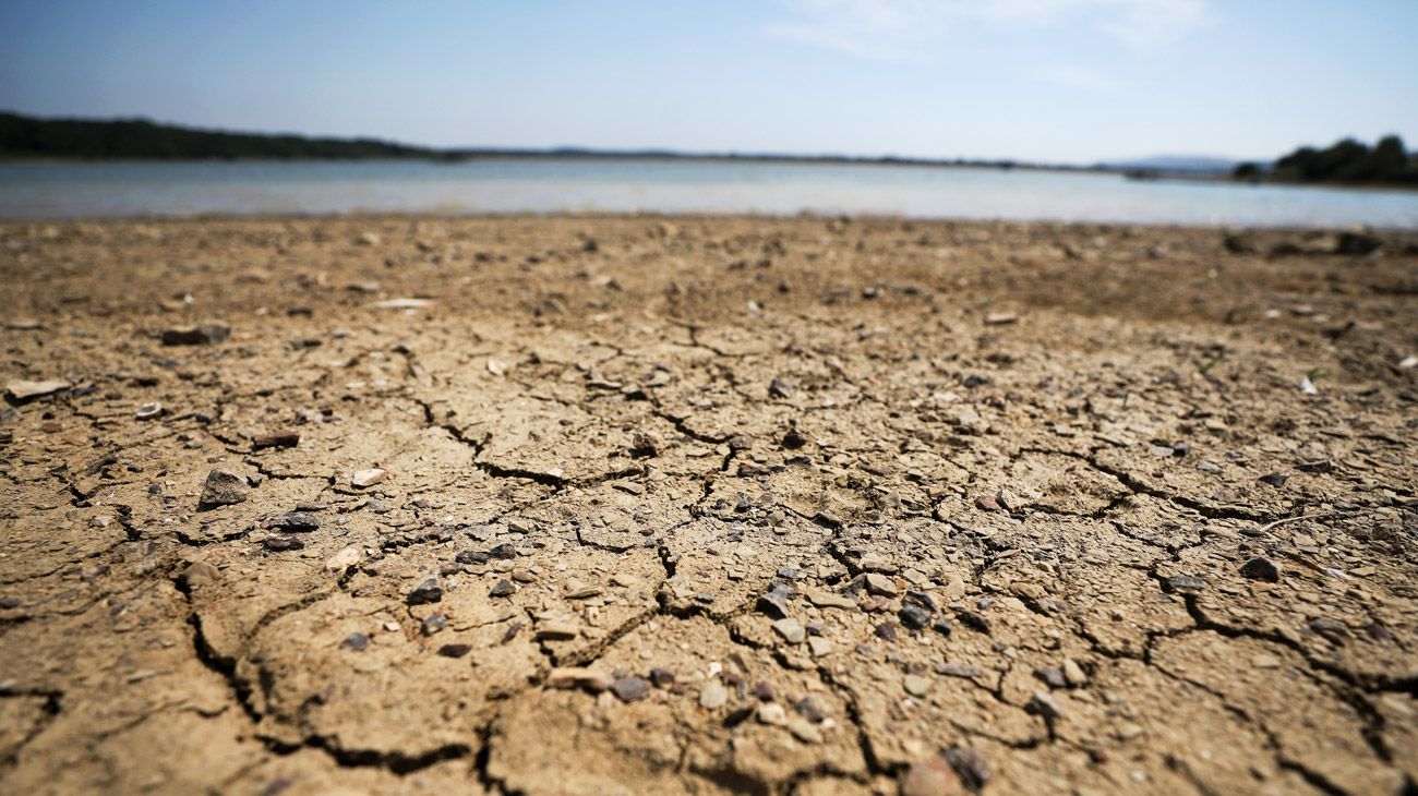 Comercio y cambio climático: éxito o fracaso de la cumbre del G20