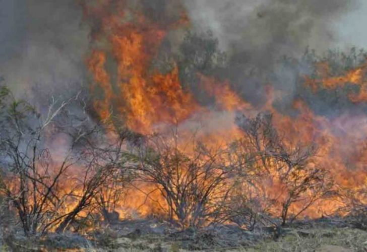 Incendios forestales en Mendoza y La Pampa arrasaron con 230 mil hectáreas