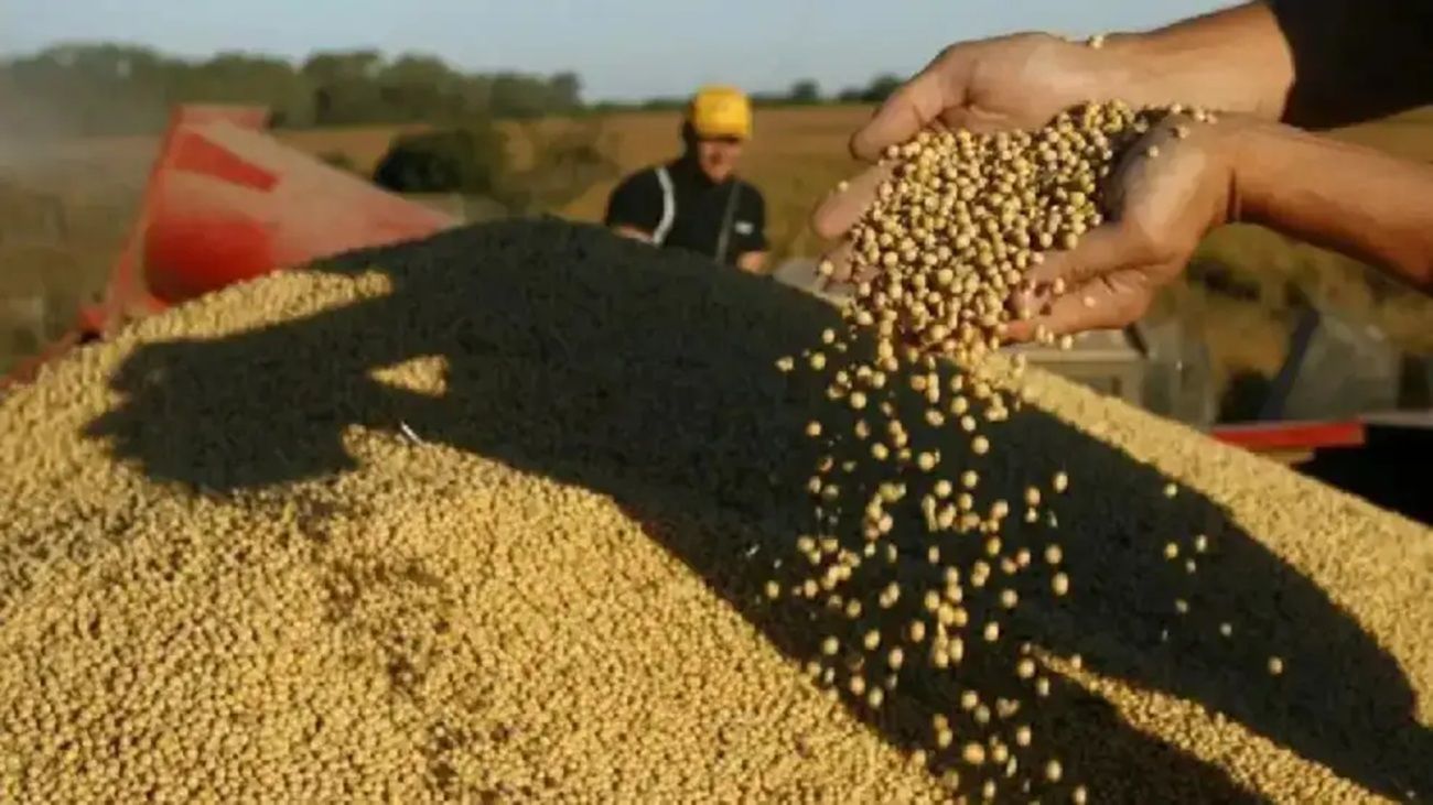 Agro: “Tenemos una especie de atraso en el sentido de generar proyectos de inversión articulados”