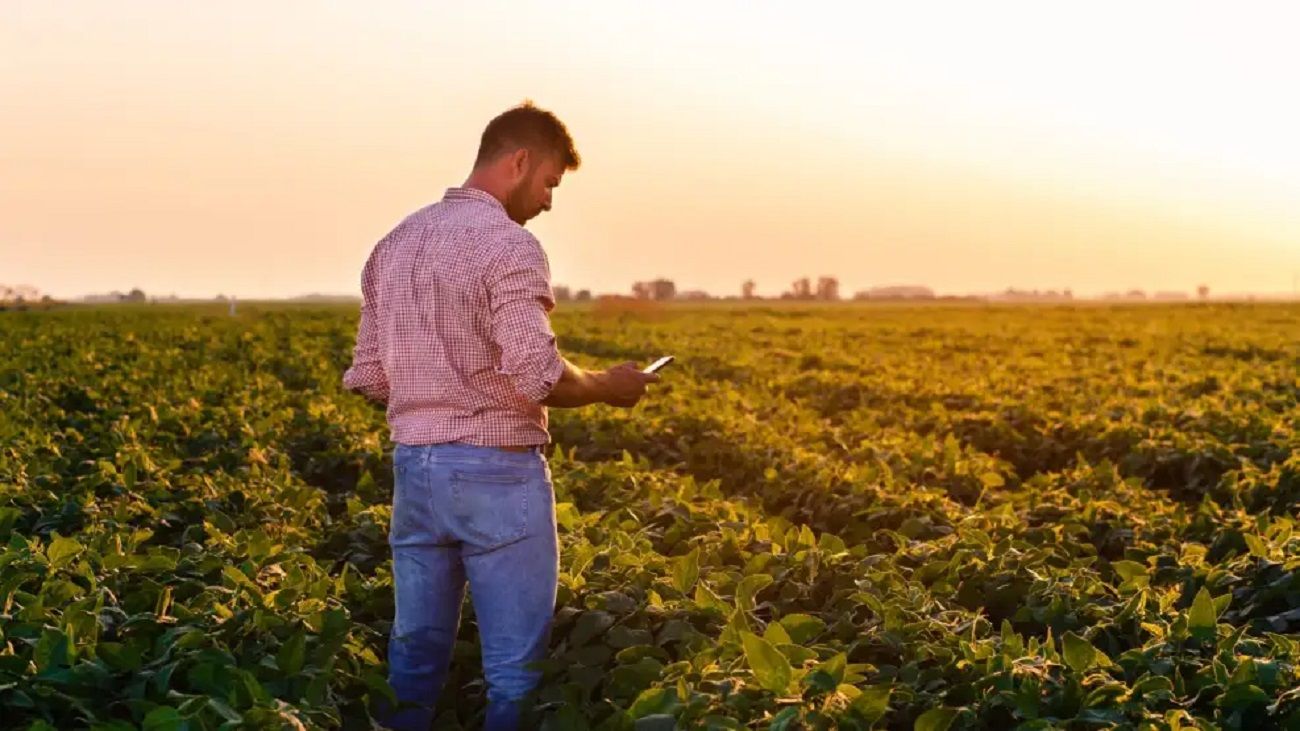 Suspensión temporal de las retenciones: “No iba a llegar al productor agropecuario directamente”
