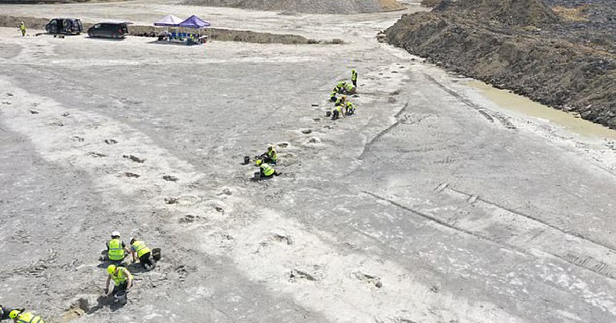 Descubren más de 200 huellas de dinosaurios de hace millones de años