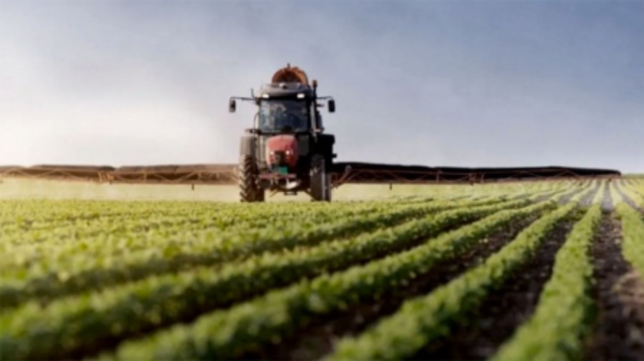 Agro: la sequía y las políticas fiscales generan tensión con el Gobierno