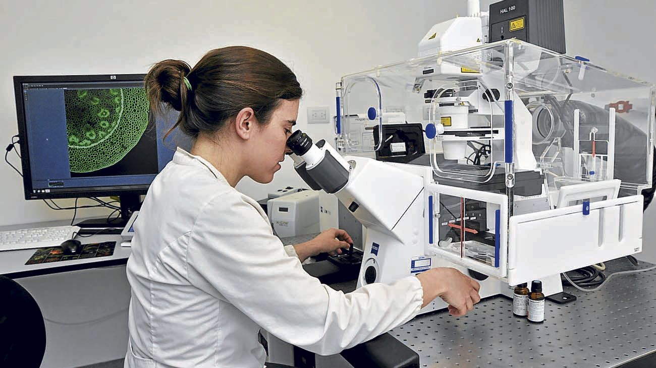 Adquisiciones basadas en valor: una manera inteligente de enfrentar los desafíos sanitarios