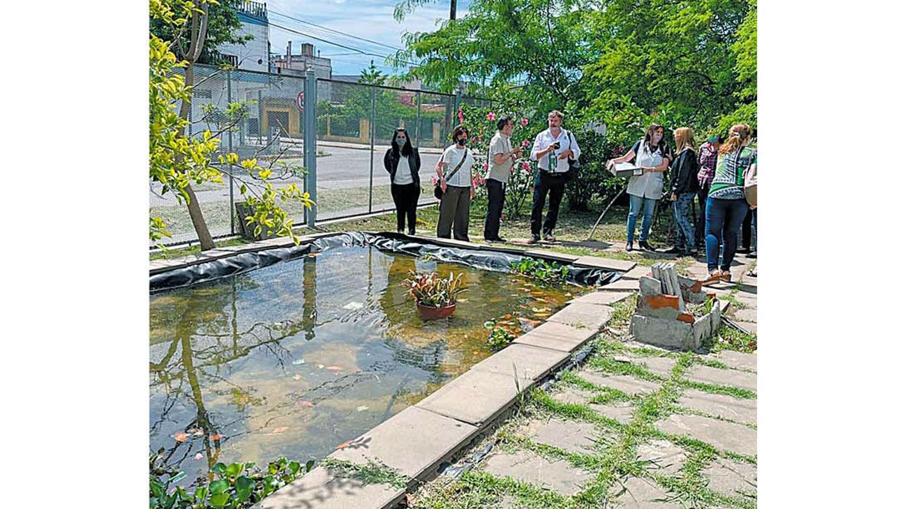 Científicos argentinos ensayan una original estrategia preventiva para combatir el dengue