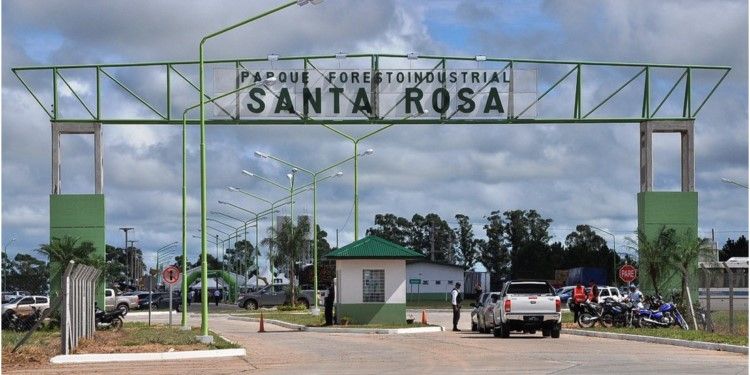Central Puerto invertirá 40 millones de dólares en un mega aserradero en Corrientes