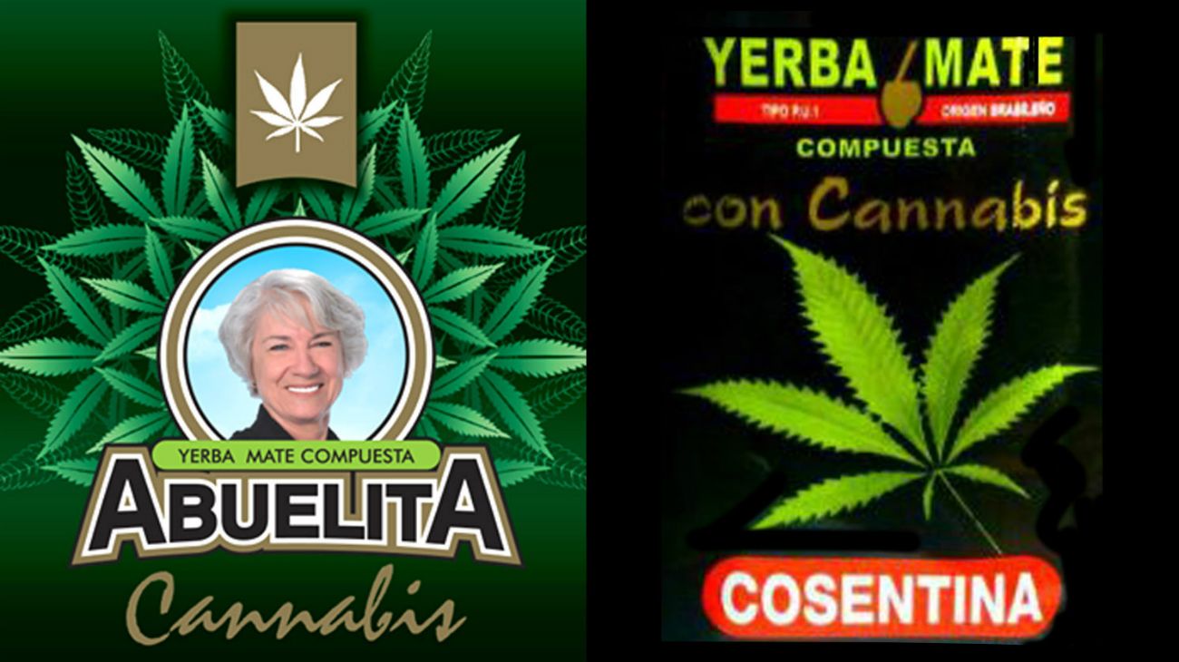 Uruguay comenzará a vender yerba mate con cannabis