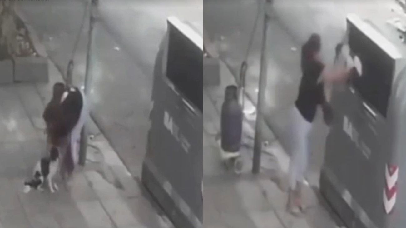 Villa Luro: tiró una perra a un contenedor de basura y quedó filmada