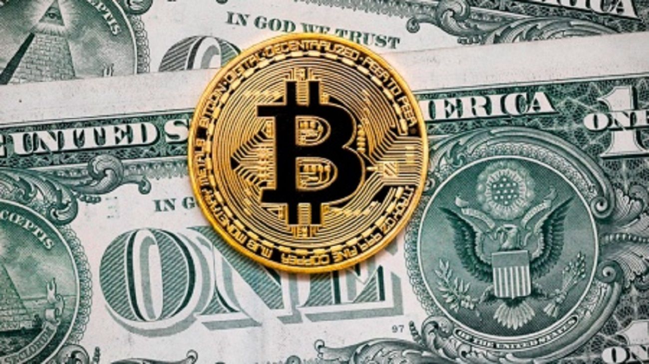 Cuál fue la reacción del dólar cripto durante las elecciones