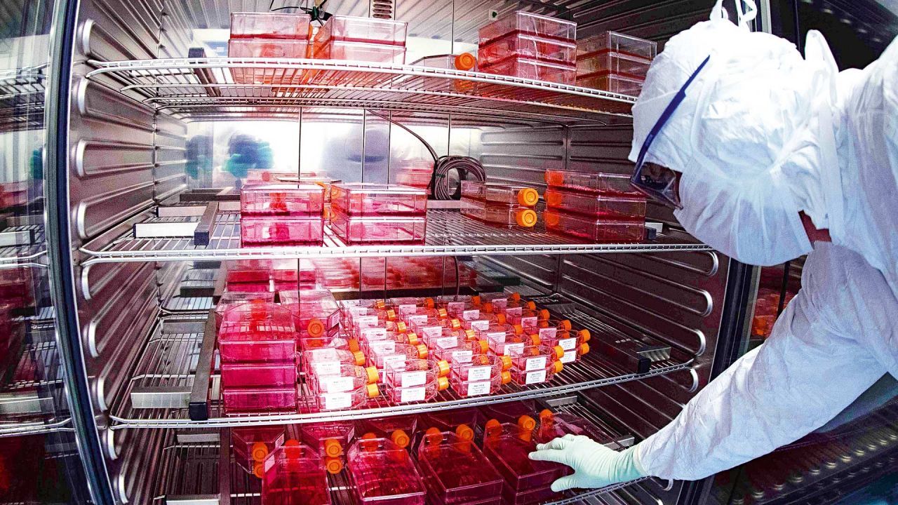 ¿Empieza el fin de la pandemia? Estados Unidos arranca este lunes a vacunar contra el Covid