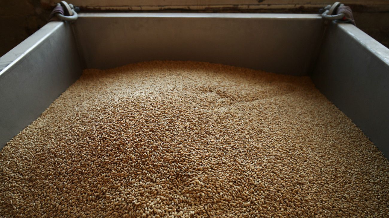 El gobierno cuestionó la solicitud de exportación de potencias agrícolas internacionales