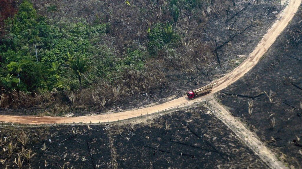 La deforestación en la Amazonía de Brasil destruyó 5.042 km2 en el último año