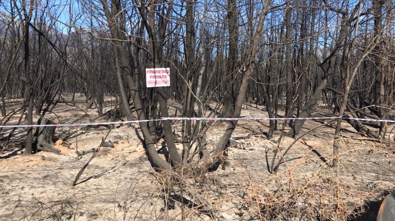 Productores patagónicos solicitan donaciones para sus chacras afectadas por los incendios