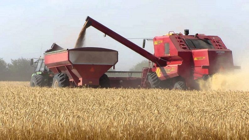 Las importaciones de soja de China alcanzan su máximo en 7 meses