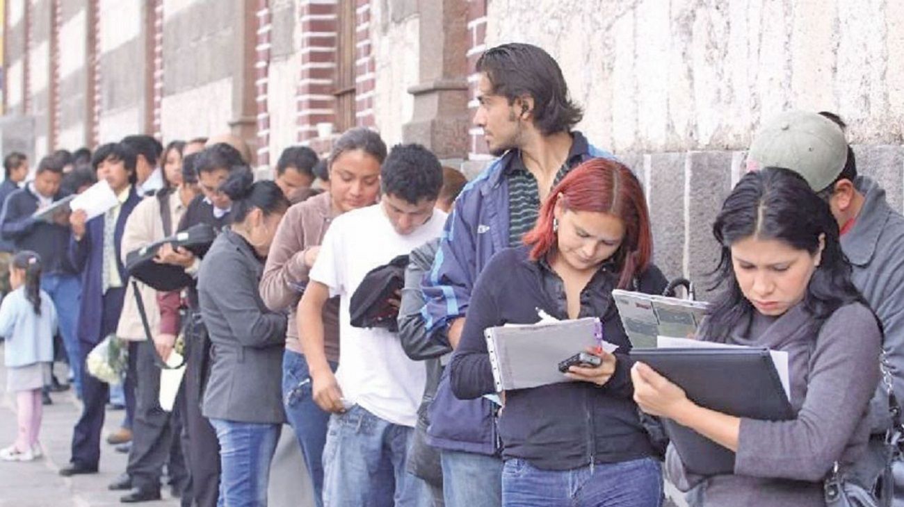 Cuáles son las mejores carreras para insertarse en el mercado laboral