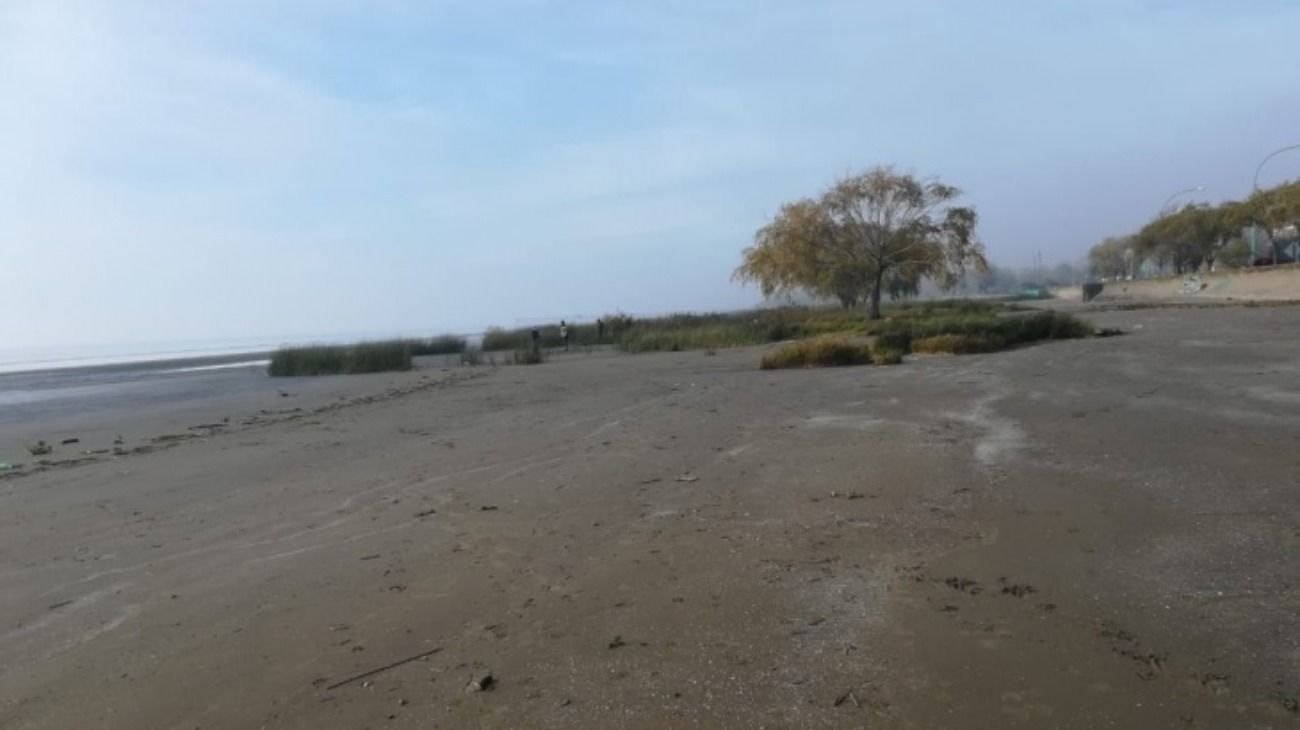 Horror en Punta Lara: encontraron 30 huesos humanos y creen que son de un chico