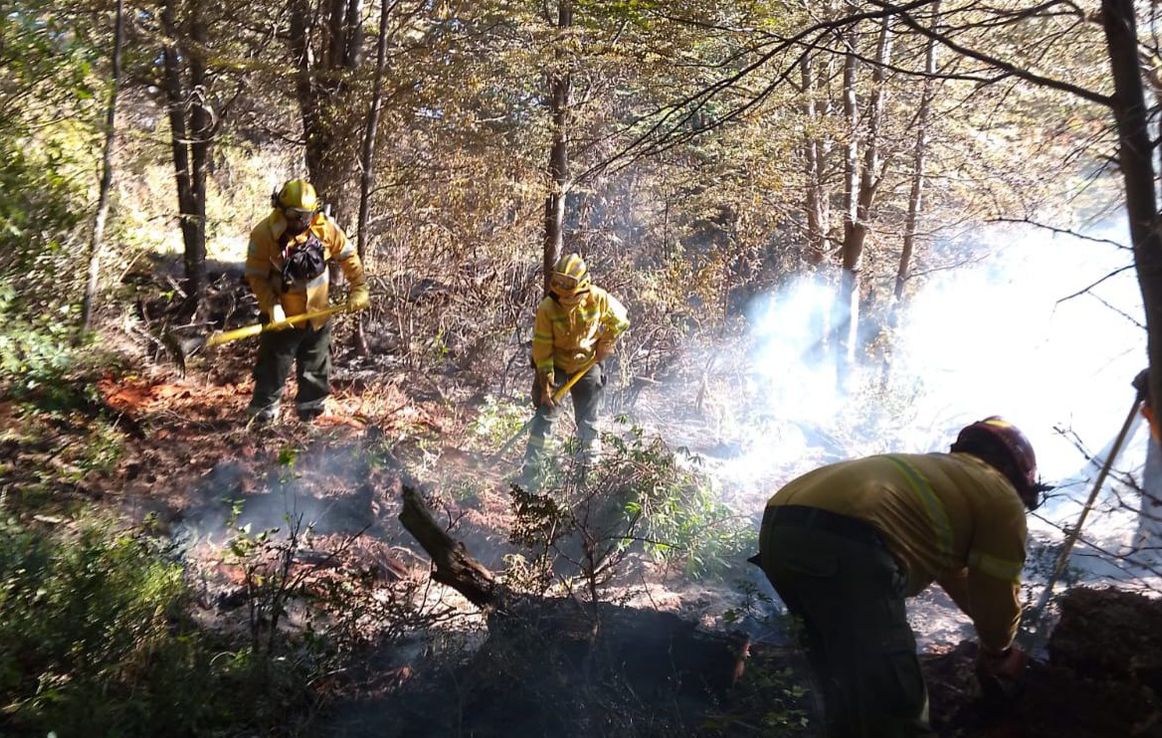 Combatiendo el fuego en el sur: cómo es la lucha contra los incendios forestales
