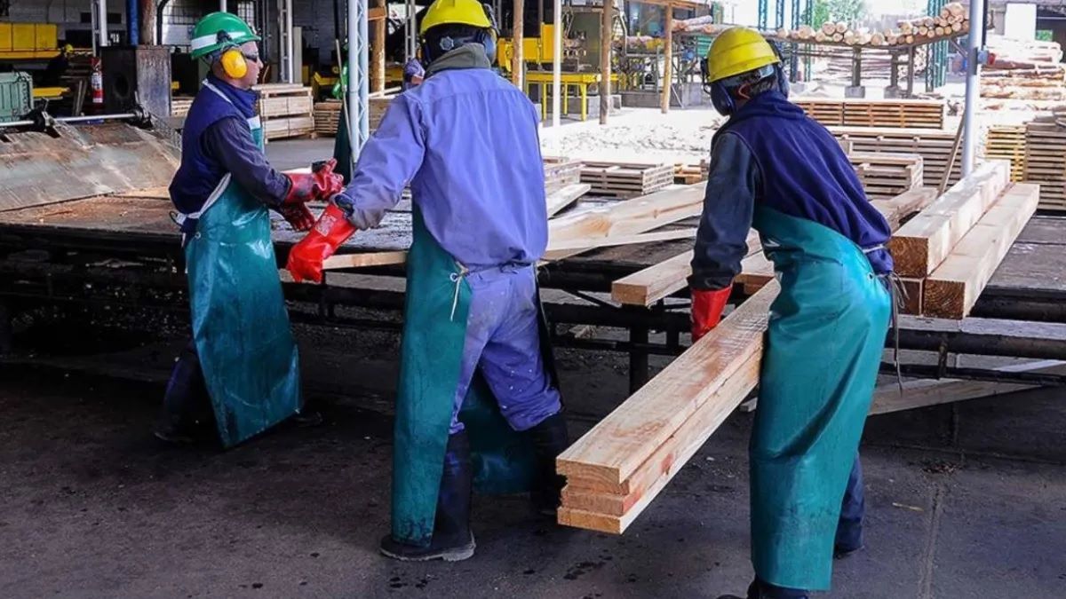 Reforma laboral: qué piensan los diputados de Corrientes sobre el proyecto de Milei