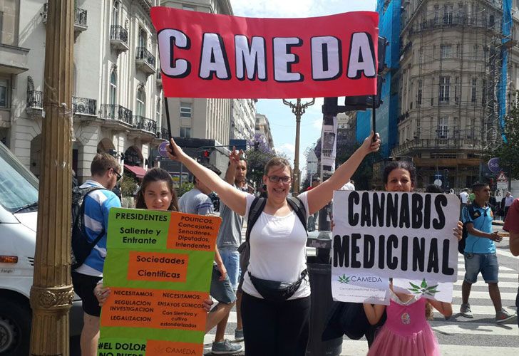 El Senado debate la legalización del cannabis medicinal