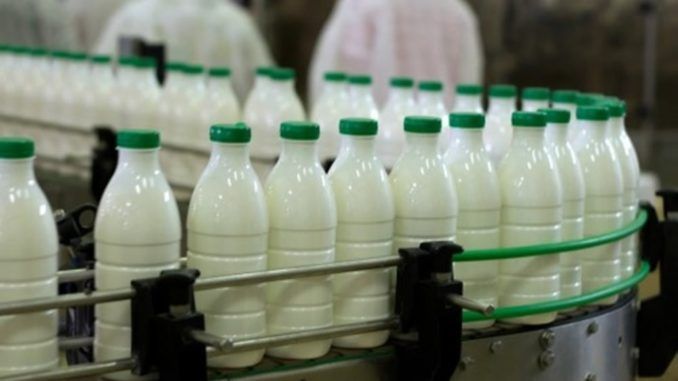 Ventas de leche cayeron en el primer semestre