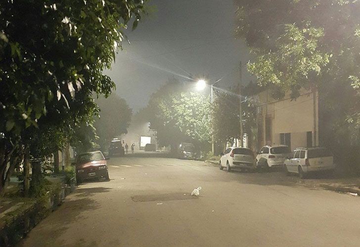 Se quemó la Reserva de Punta Lara y el viento llenó la Capital de humo