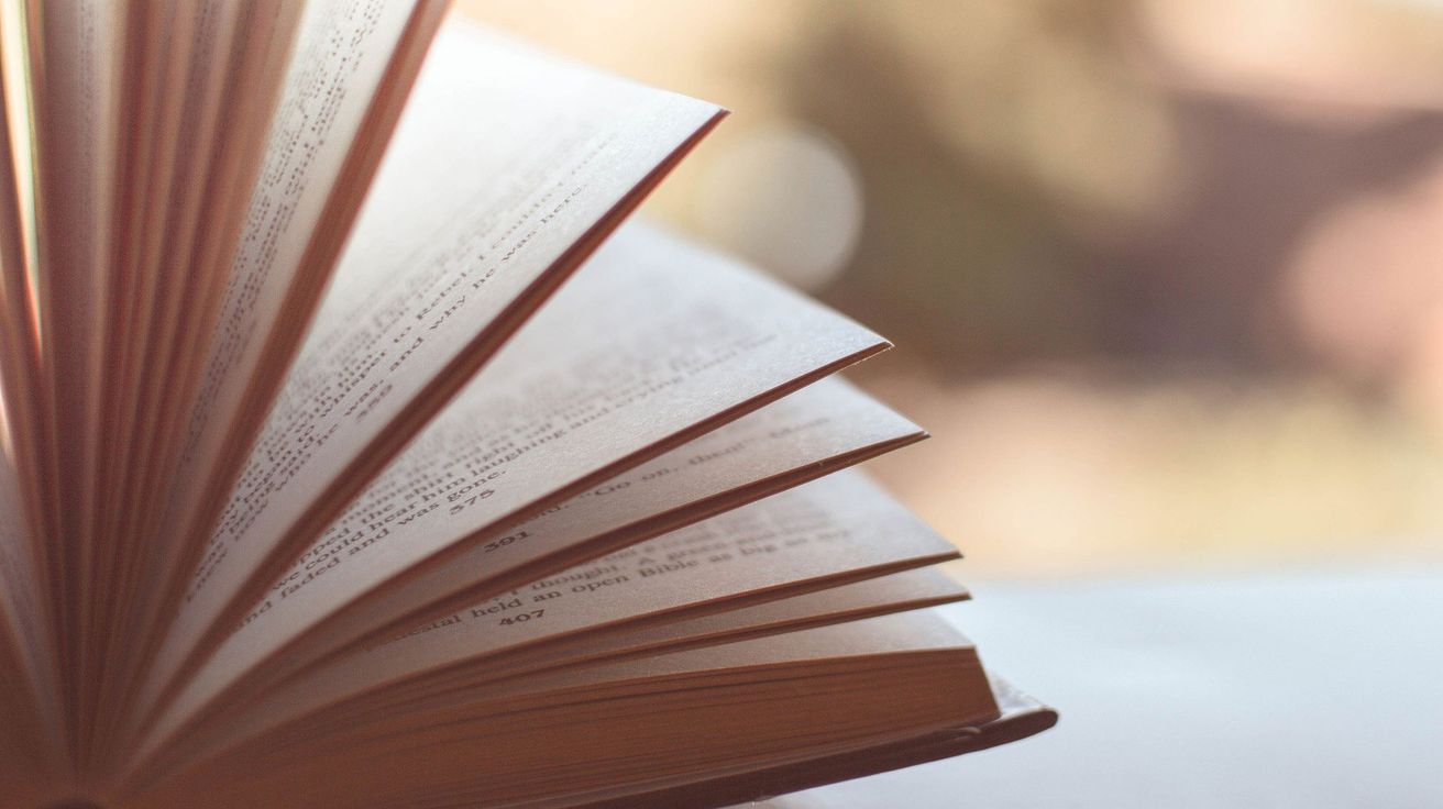 El placer de leer, siempre (vigésimo primera entrega)