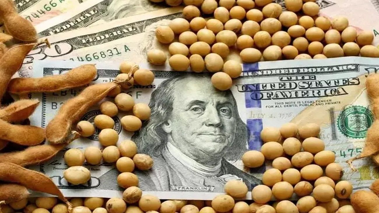 Para un economista, "el gran problema hoy es que el dólar oficial es una mentira"