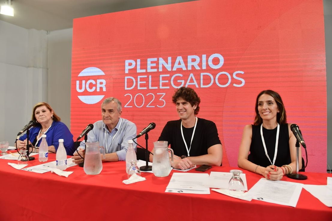 Lousteau nuevo presidente de la UCR Nacional: celebran De Loredo y Ferrer