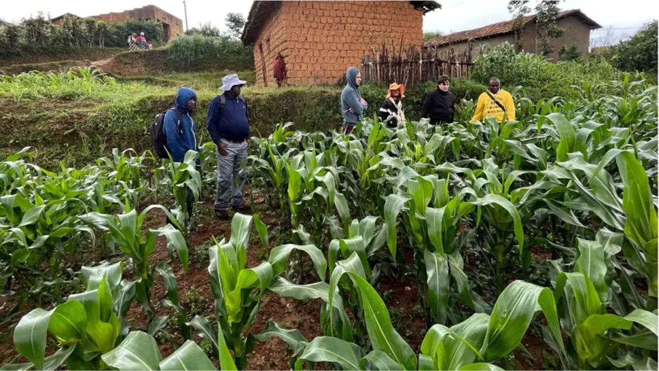Cómo impacta el proceso electoral en el agro: “El productor necesita saber qué contexto económico va a tener”