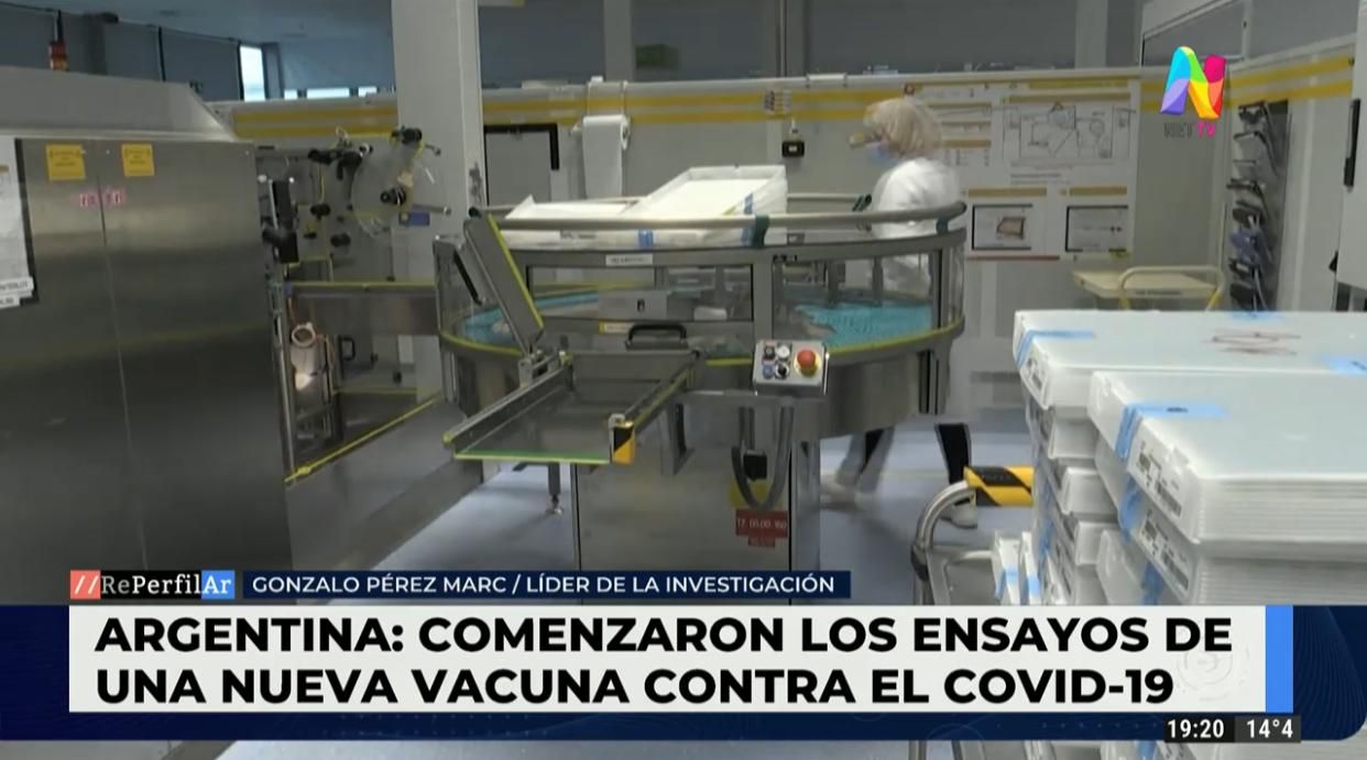 Comenzaron los ensayos de una vacuna anticovid de origen vegetal