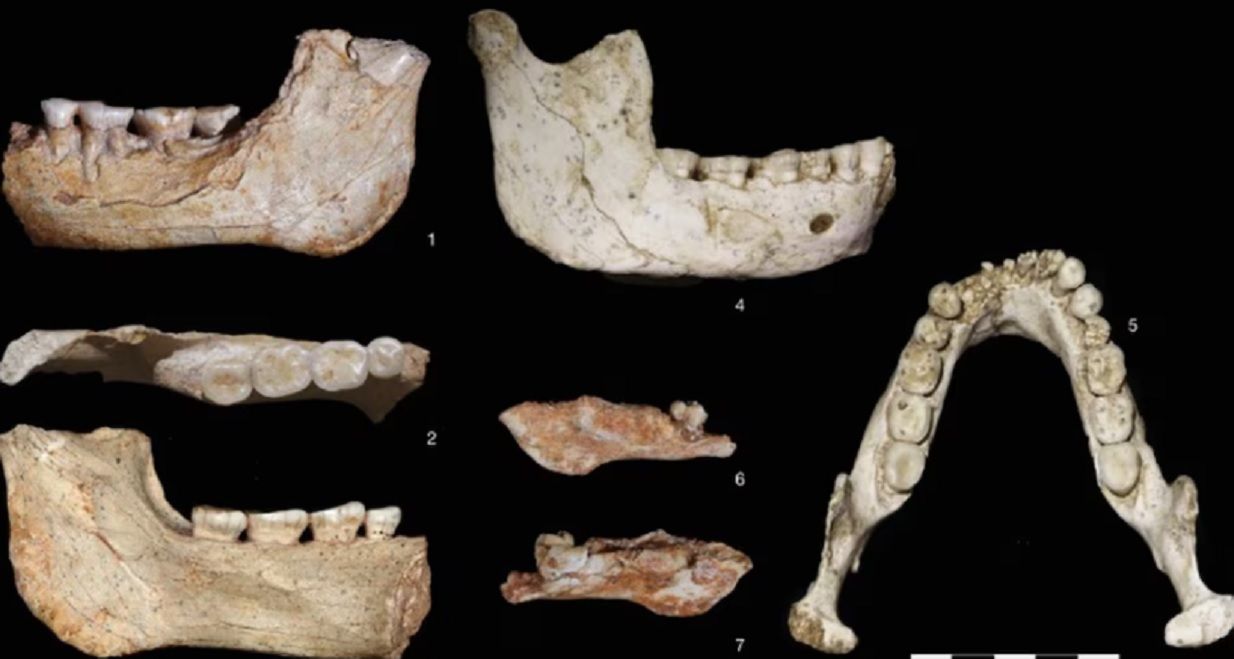 Encuentran restos fósiles que reescriben los orígenes del Homo sapien
