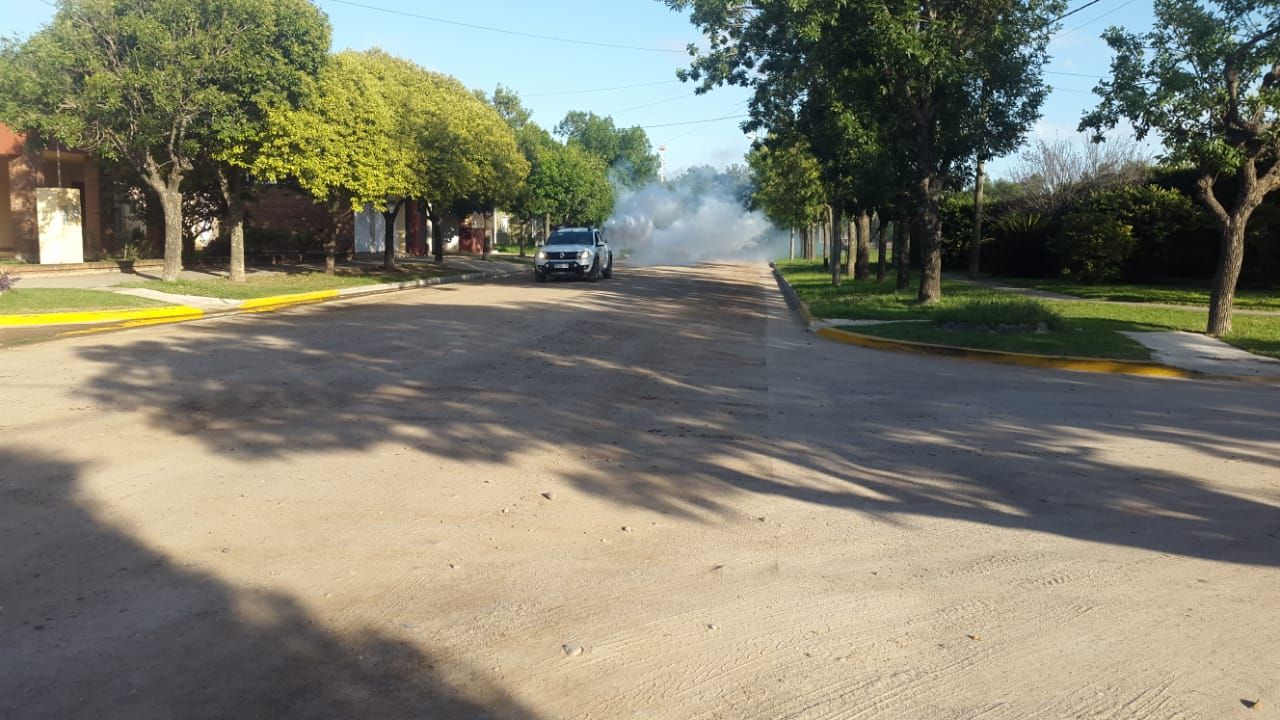 “En este momento hay que preocuparse más por el dengue que por el coronavirus”