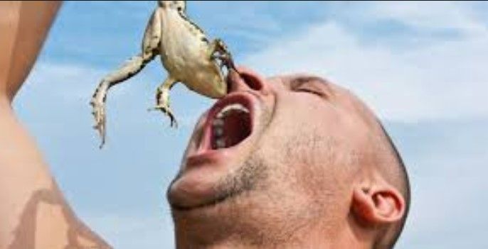 Sapo que no has de tragar…