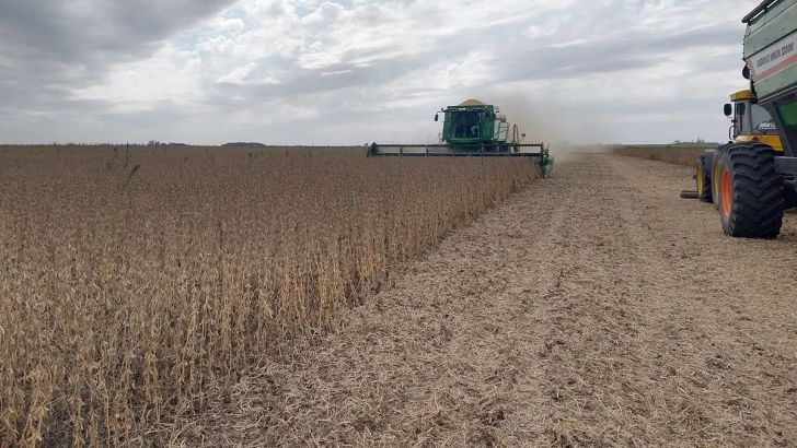 Dólar agro: el schiarettismo lo califica de devaluación e insistirá con baja de retenciones