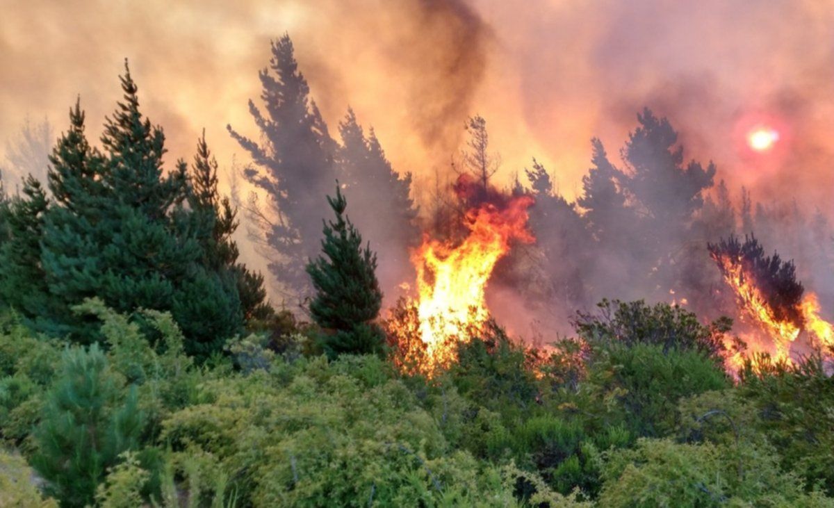 Incendio en Chubut: ya afecta a más de 1550 hectáreas y está fuera de control