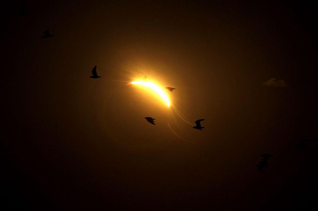 Reviví el espectacular eclipse solar que fue furor en Argentina